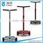 hotselling CHIC FAIRY three wheel stand up electric scooter