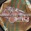 3 - 5kg Himalayan Natural Rock Salt for Animals Licking