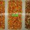 5000+pixel CCD color sorter, color sorting machine for cashew, peanut, plastic, walnut, dehydrated vegetables, fruit