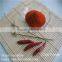 Red Chilli Powder