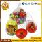Net Bag Dinosaur Egg Toy Candy With Tattoo