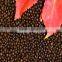 Factory Directly Provide high quality Amino Acid Fertilizer for all crops