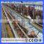 A type poultry cages for hens with egg collection machine steel layer cages(Guangzhou Factory)