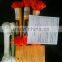 pe twine Pe mono rope packing rope in coil high qulaity and low price