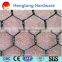2017 Hot High quality Galvanized Hexagonal Wire mesh, chicken Mesh/fence