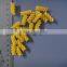 Macaroni Production Line