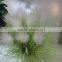 fake onion grass plants artificial onion grass for decoration