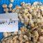 High quality frozen short necked clam meat