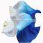 Chinese Silk Belly Dance Costume Fan Veils Bamboo Silk Fans Veils 1.8m Length