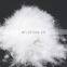 Australian Standard AS 2479-2007 50/50 white duck down big down cluster high filling power, cleaness, odorless, whole sales
