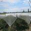 Agriculture apple tree anti hail net, anti hail netting, hdpe anti hail net