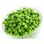 Frozen green beans kernels
