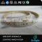 SMD 3528 supplier 5m 120led/m waterproof led strip CCT adjustable addressable white led strip