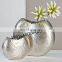 Home Decoration Flower Pots