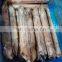Good quality IQF frozen squid whole round roll