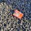 Supply different sizes semi-coke without water content with low price