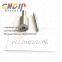 S1096 Diesel Injection Nozzle DLLA142S1096