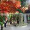 Newest hot sale artificial maple trees