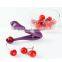 2015 Deluxe Cherry and Olive Pitter Plastic Cherry corer best selling Kitchen gadgets
