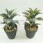 Factory direct selling promotional items big pallet artificial plants