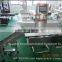 High Speed Checkweigher WS-N158(5-600g)