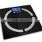 body fat scale munufacture and distribute by canny industrial limited