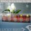 China green tea Special Chunmee 41022AAAAAA for African Market