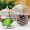 Yasit different types of glass vases/ Glass Terrarium,clear glass festivals decoration,clear glass vase