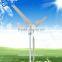 500w 600w wind turbine generator used for boat