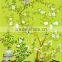 indoor decoration with Eco-solvent Art wallpaper