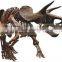Dinosaur Skeleton Model for Sale Life Size Skeleton