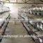 Factory Wholesale Industrial Pigeon Metal Coops