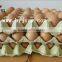 30 Recycled Paper Egg Trays Hot Sale (Professional Factory)