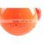 Cartoon animal plastic roly-poly toy with light and music
