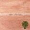 3*6 4*6 0.30mm bintangor face veneer sheet for plywood furniture door skin