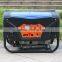 BISON(CHINA) China Power 168F-1 Engine 2.5kw Gasoline Generator LPG GAS Electric Start Gas Power Generator                        
                                                Quality Choice