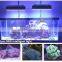 Best Selling Products Programmable LED Aquarium Lighting DSunY Marine LED Light