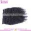 Wholesale Factory Price 10-30" Afro Kinky Curly Clip in Hair Extensions Virgin Brazilian Clip in Hair Extension