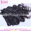 Brazilian Body Wave Double Weft Hair Extension Human Clip In Hair Extensions