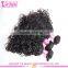 Hot sale brazillian water wave hair weave wholesale virgin brazilian water wave hair extensions