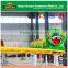 Amusement Rides Caterpillar, Kiddie Roller Coaster for Sale