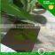 decorative stainless steel sheets,vibration finished,black coating