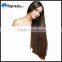 2 IN 1 Electric Hair Straightener Comb LCD Ion Brush Auto Straight Tool EU/US/UK