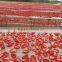 Good Quality China Dried Tomatoes Products