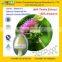 GMP Factory supply Water Soluble Milk Thistle Extract