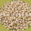Supply new crop blanched peanut kernels in round shape