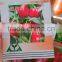 Cold resistant sweet pepper seeds red sweet pepper seeds Wendy F1