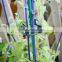 Vegetable Garden Tomato Trellis Clip Plastic Plant Support Clip