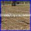 Anping factory manufacturer supply various barb wire