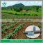 Durable Extrusion Hard Agricultural Irrigation system Using LDPE Drip Irrigation Pipes